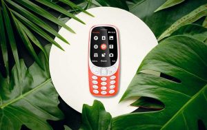 Dschungel-Handy: Kandidaten im Check