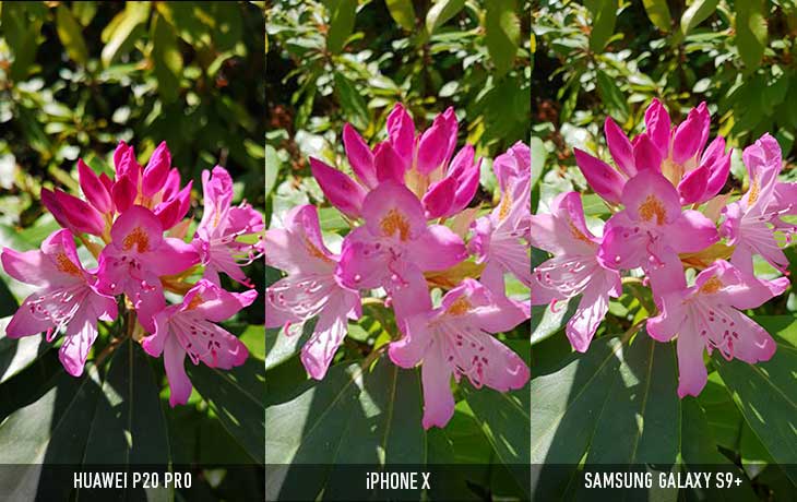 Makroaufnahme Vergleich P20 Pro, iPhone X, S9+